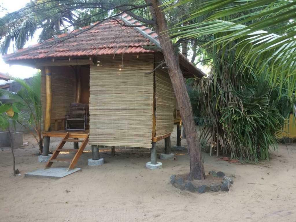 Albero Cabanas Arugam Bay Cameră foto